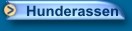 Hunderassen